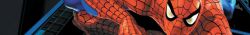 Spidey.jpg