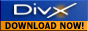 downloaddivx_blk.gif