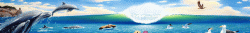 The Sea